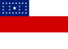 پرچم ایالت آمازوناس