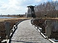 Großes Torfmoor bei Lübbecke / Hille: Bohlenweg und Aussichtsturm, Kreis Minden-Lübbecke