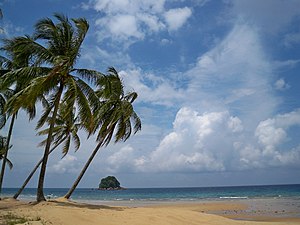 Typischer Strand auf Tioman