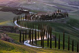 Une route de cyprès dans Crete senesi. Mars 2019.