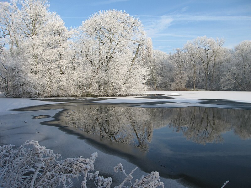 File:Winter4.JPG