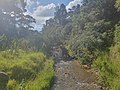 The Tāpapakanga Stream