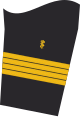 Dienstgradabzeichen eines Flottenarztes (Approbation für Humanmedizin) auf dem Unterärmel der Jacke des Dienstanzuges für Marineuniformträger