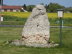 Image illustrative de l’article Menhir de Nohra