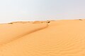 * Nomination: Wahiba Desert, Oman --Poco a poco 07:16, 29 October 2024 (UTC) * * Review needed