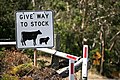 Image 32This Australian road sign uses the less common term "stock" for livestock. (from Livestock)