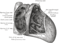 Kalpte arteriyel septum