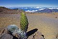 Parc national de Haleakalā