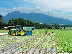 八ヶ岳東麓の野辺山高原における高原野菜の栽培風景