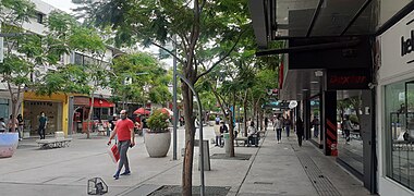 Peatonal Rivadavia.