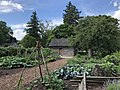 Peter Navarre Cabin & Garden