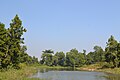 Pond at Ajodhya top