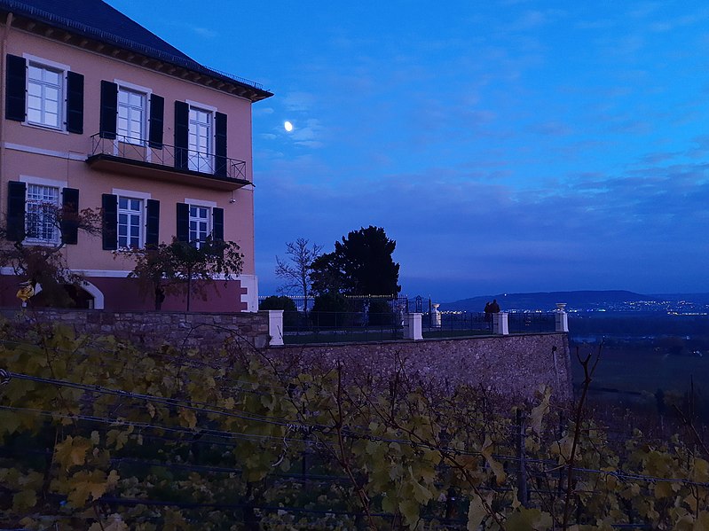 File:Schloss Johannisberg and moon.jpg