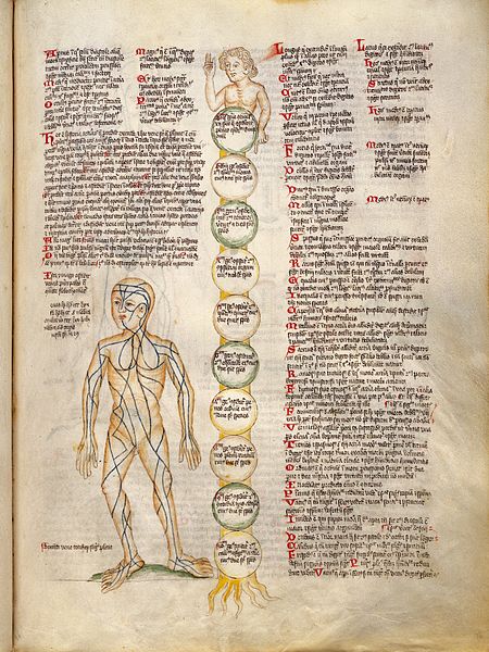 File:Tree trunk with ten circles classify types of pain - Vein man Wellcome L0029306.jpg