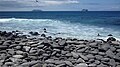 Beach in North Seymour Island, Galapagos