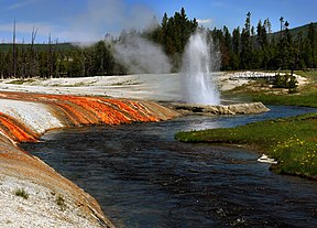 Yellowstone-Nationalpark