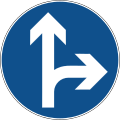 B46-1 Go straight or turn right