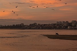 Nature Reserve of the Douro Estuary