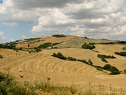 Siena yakınındaki Toskana manzarası