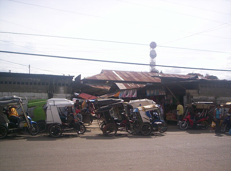 File:Argao Public Market.JPG