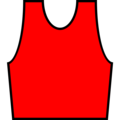 Red Bib of the World Cup Leader