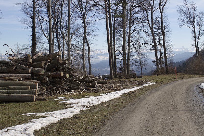 File:From Uetliberg to Felsenegg , Zurich - panoramio (149).jpg