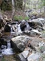 River tributary in Troodos