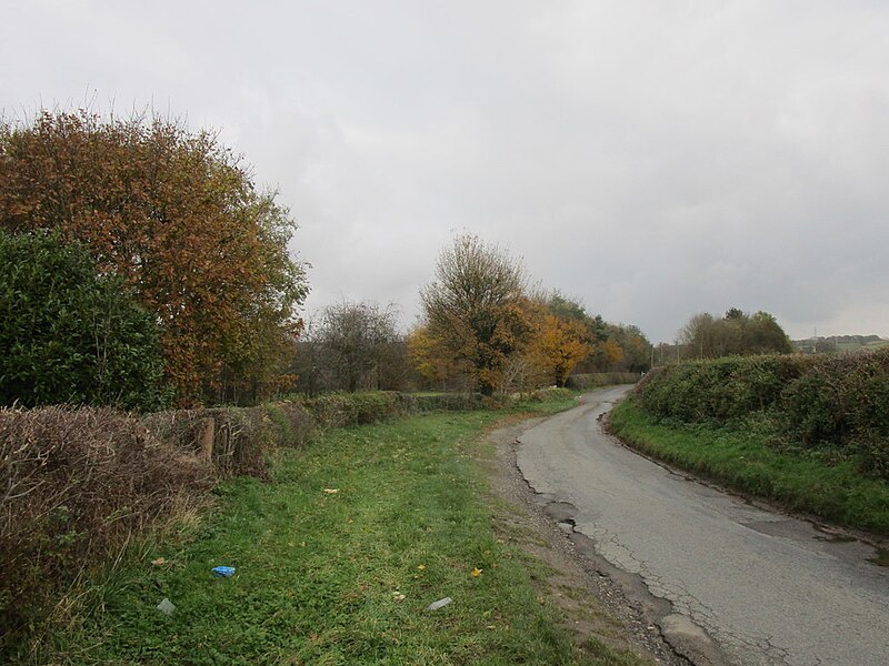 File:Whalebone Lane, Little Ponton - geograph.org.uk - 6321941.jpg