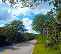 State Road 94 in Big Cypress N. P.