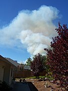 The Deer Ridge Fire