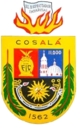 Cosalá – Stemma