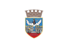 Zastava Zrenjanina.svg