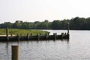 The Choptank River in July 2008