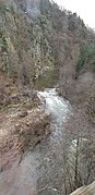 Gorges de l'Allier, vu du train.jpg