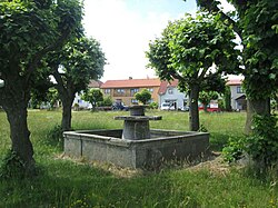 Centre of Božejov