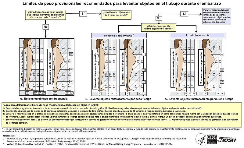 File:Recommended weight limits in early and late pregnancy for 3 lift frequency patterns (Spanish language version).jpg