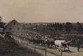 "Transferring real estate in Nova Scotia" (1913)