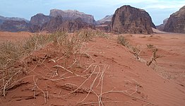 Wadi Rum desert