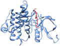 Tyrosine Kinase Inhibitor Dasatnib in Complex with Abl1 Kinase