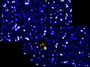 DM map by the CFHT Lensing Survey (CFHTLenS) using the Canada–France–Hawaii Telescope (2012)[197][198] (COSMOS map at the center)