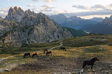 Cadini di Misurina