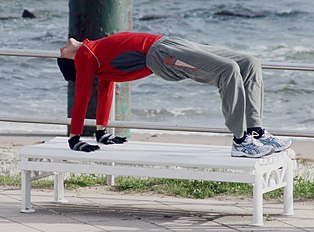 Purvottanasana, Reverse Plank