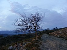 Amarante Serra da Marão