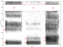 Spectrogram -iua-.png