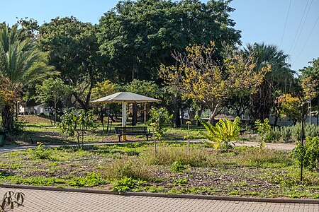 יער המאכל הקהילתי