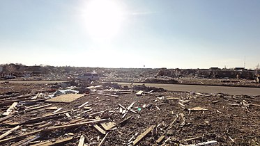 Trees destroyed by tornado, Illionois, United States