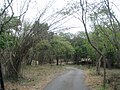 Bannerghatta National Park