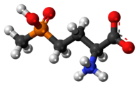 Ball-and-stick model of the glufosinate zwitterion{{{画像alt1}}}