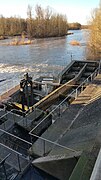 Passe à poissons, pont de l'Europe, Vichy.jpg