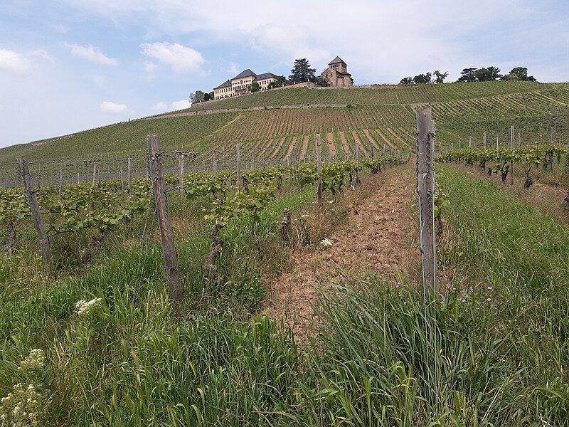 File:Schloss Johannisberg from south.jpg